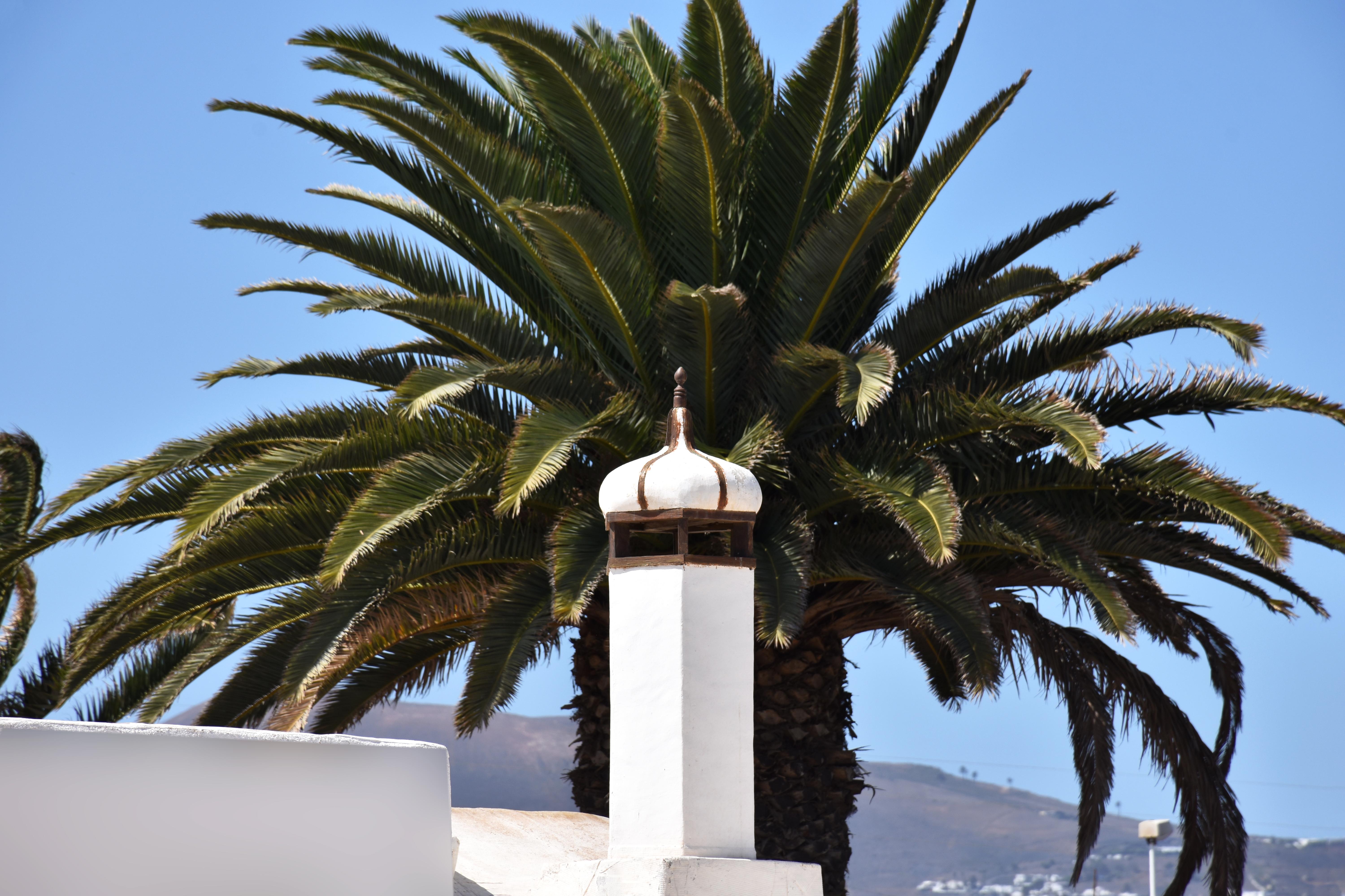 Apartamentos Tisalaya Puerto del Carmen  Exteriör bild
